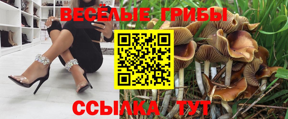 Кизляр  где продают   Вход с VPN  Галлюциногенные грибы Cubensis 